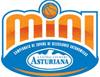 Calendarios y resultados de los Campeonatos de España de Selecciones Autonómicas de Minibasket 2009