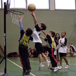 II Jornadas de Babybasket 12/13