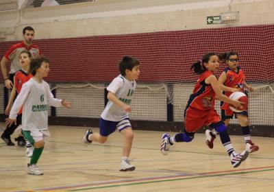 BabybasketIII2013 Alameda11