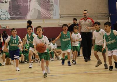 BabybasketIII2013 Alameda12