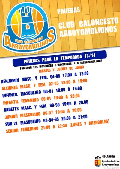 Cartel de las Pruebas. Arroyomolinos 2013