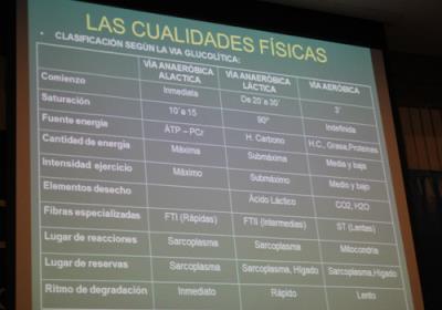 XIICharlaMagistral Foto2