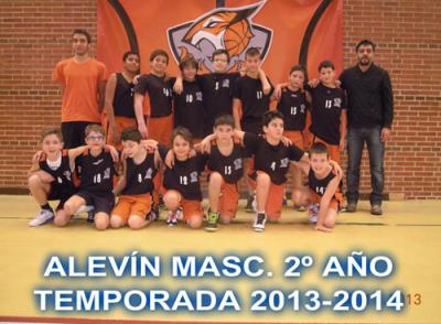 1314Alev2Masc Pinto