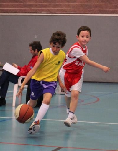 Babybasket20140406 Colmenar9