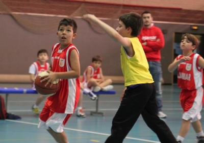 Babybasket20140406 Colmenar10