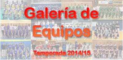 Galería de equipos FBM 2014-15