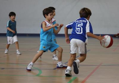 BabybasketDic2015 CEU8