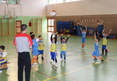 BabybasketDic2015 GredosSanDiego2