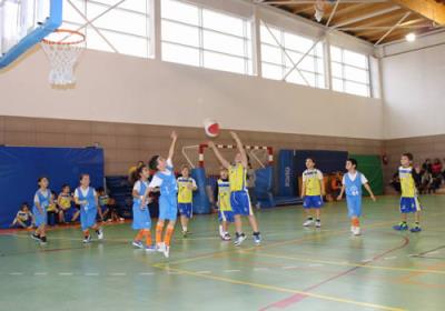 BabybasketDic2015 GredosSanDiego3