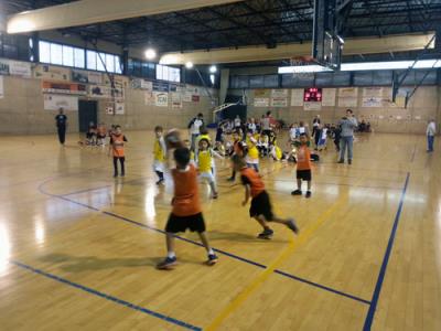 Babybasket Pinto. Febrero 2016 - Foto 2