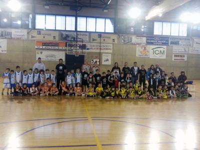 Babybasket Pinto. Febrero 2016 - Foto 3