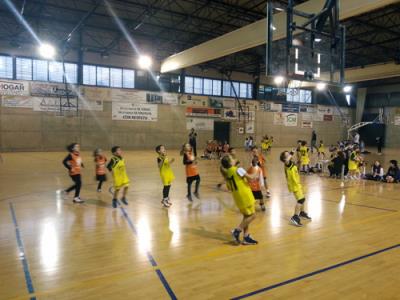 Babybasket Pinto. Febrero 2016 - Foto 4