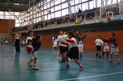 Babybasket San Fernando. Febrero 2016 - Foto 7