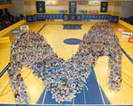 Foto de cantera 2016 del Movistar Estudiantes