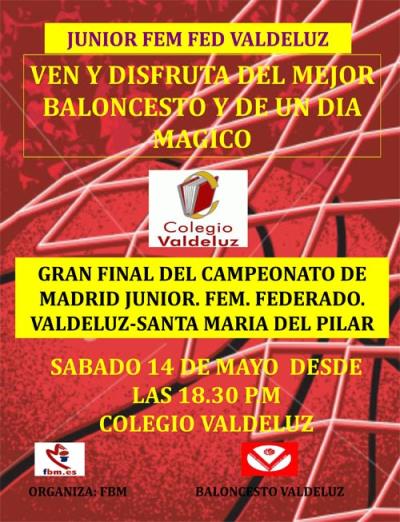 Cartel FinalJuniorFederadoFem2016