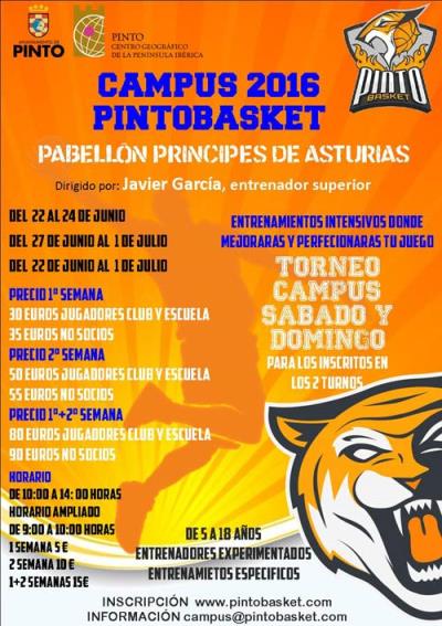 Cartel CampusPintobasket2016gr