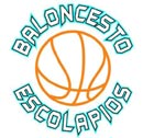 Escolapios Alcalá busca jugadores sénior