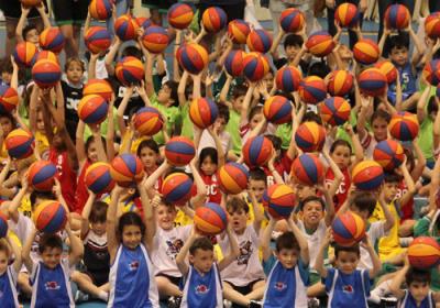 FiestaBabybasket16
