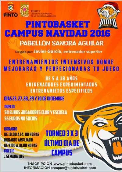 Cartel CampusPintoNavidad2016