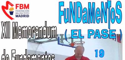 XII Memorándum de Fundamentos Individuales