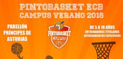 Campus de Verano 2018 del Pintobasket