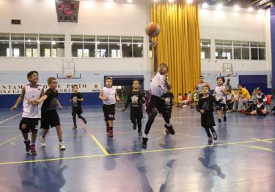 BabybasketPintoNov18 Foto5