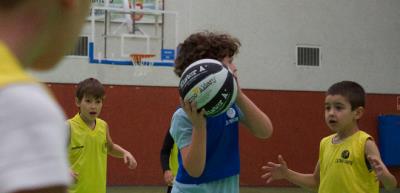 Jornadas de Babybasket. Febrero de 2019