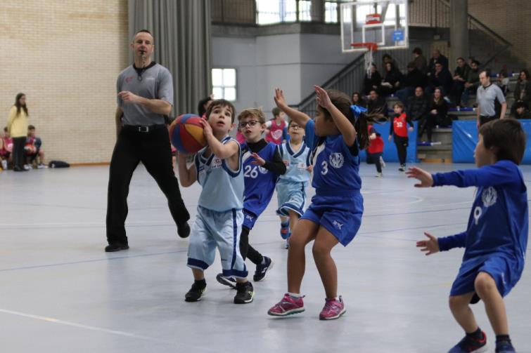 Jornada Babybasket - Instituto Veritas.  25/01/2020 - Foto 12